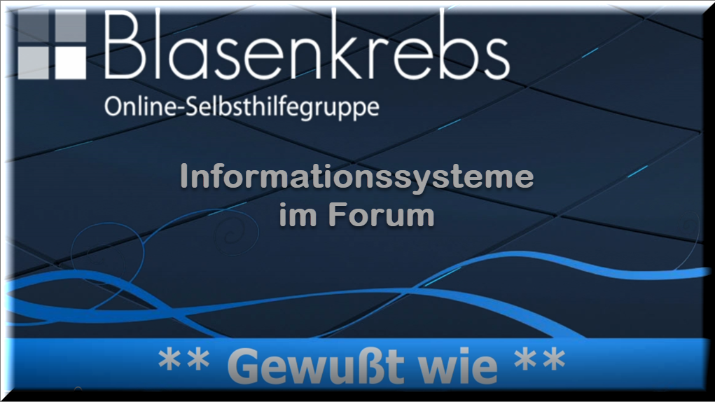 Informationssysteme im Forum